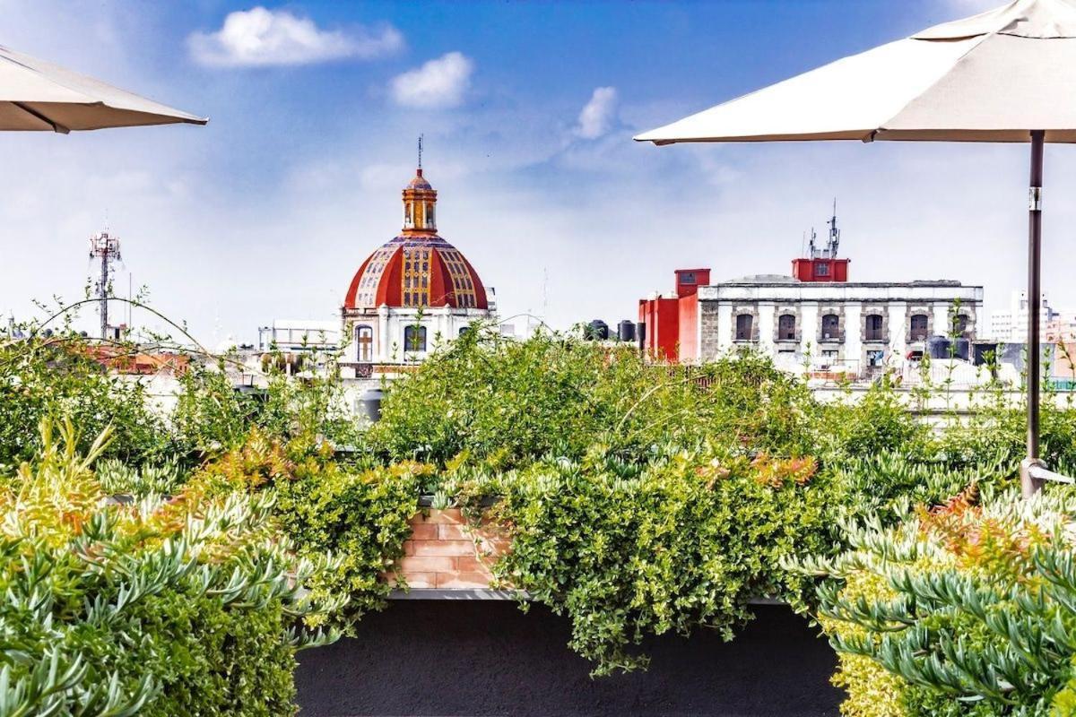 Cálido Loft A Pasos Del Zócalo Disfrútalo Apartamento *